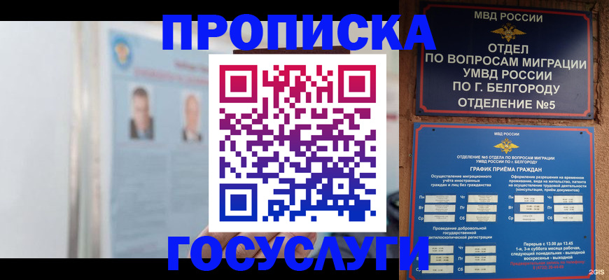 временная регистрация гарантия в Твери